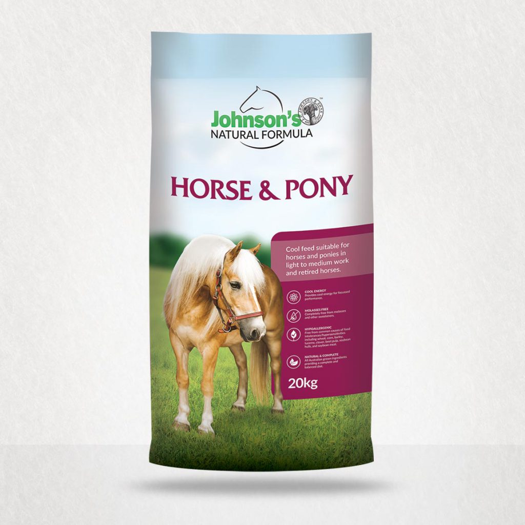 johnsons horse pony 1